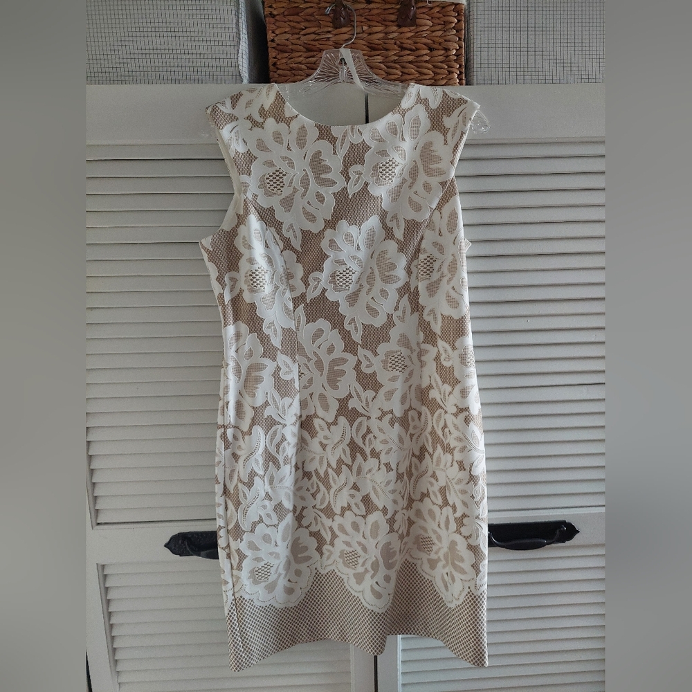 Sandra Darren Taupe And White Dress-10